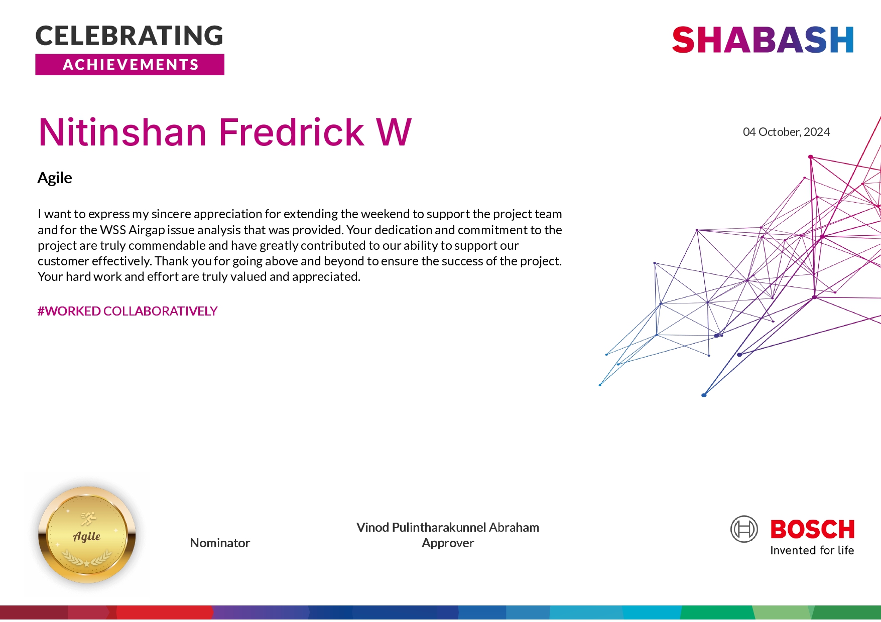 Award Certificate 6